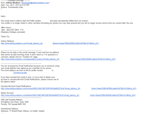 ashley madison account hidden confirm